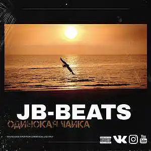Picture for song 'Lonely Seagull' by artist 'JB-beatstore'