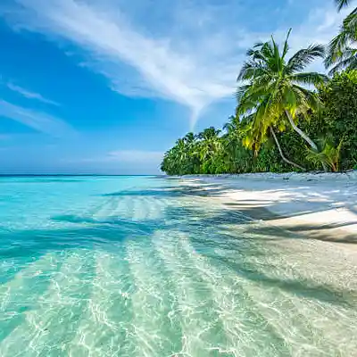 Picture for song 'Island Dreams' by artist 'Monmedia'