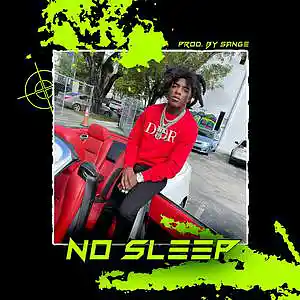 Picture for song 'Toosii x Li Tjay x Lil Durk Type Beat - No Sleep' by artist 'sange beats'