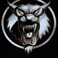 Picture for song 'Backyard' by artist 'Spacewolf Project'