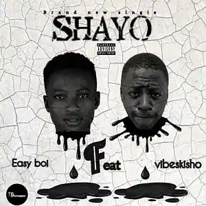 Picture for song 'EasyBoy ft. Vibeskisho _Shayo' by artist 'St berry'