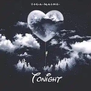 Picture for song 'Tiga Maine - Tonight' by artist 'Tiga Maine9'