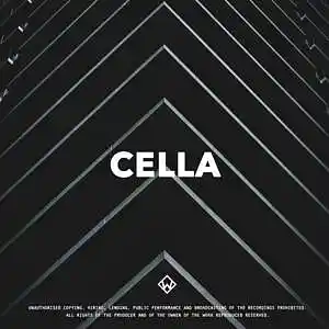 Picture for song 'Cella (Sad Guitar Type Beat)' by artist 'WZ Beats Store'