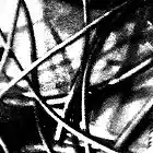 Picture for song 'Trash' by artist 'Zalozenie'