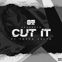 Picture for song 'Cut It x OT Genasis x Dolph (Free DL)' by artist 'Coast Boi Productionz'