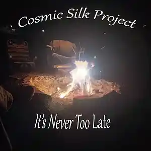 Picture for song 'It's Never Too Late' by artist 'Cosmic Silk Project'