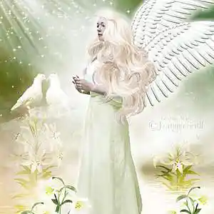 Picture for song 'understand, gypsy, gbp, gypsy box productions' by artist 'gypsy box productions'