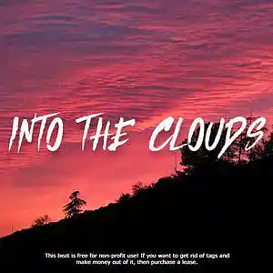 Picture for song '"INTO THE CLOUDS" Juice WRLD x Lil Tecca Type Beat' by artist 'HIWYER'