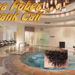 Picture for song 'Spa Pubes Prank Call' by artist 'JoshPranks'