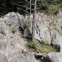 Picture for song 'Another Strange Night' by artist 'Leonard Scaper'