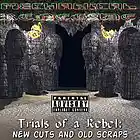 Picture for song 'Sierra's Rave' by artist 'Mechanical Renegade'