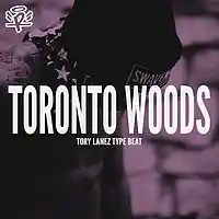 Picture for song 'Toronto Woods' by artist 'PLUQSTA'
