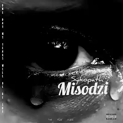 Picture for song 'Psycho9ath_-_Misodzi_(_Official_Audio_)' by artist 'Psycho9ath'