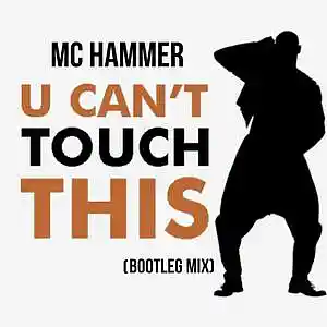 Picture for song 'U Can t Touch This 2023 (C&P) Demo' by artist 'Roland The Artist'