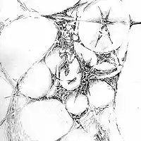 Picture for song 'Your body' by artist 'Walter de Jong'