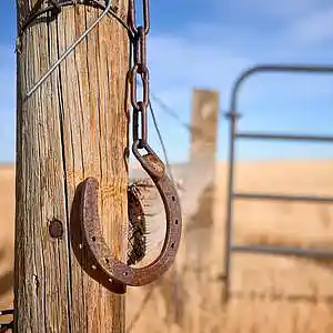 Picture for song '07_Sauntering_Clint Lavens' by artist 'Clint Lavens'