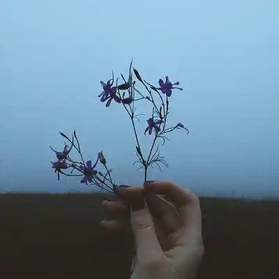 Picture for song 'Missing U - Indie rock x alternative beat' by artist 'Demonbeatss'