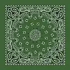 Picture for song 'Green City - Straight Clownin' by artist 'Green City Temple Gang'