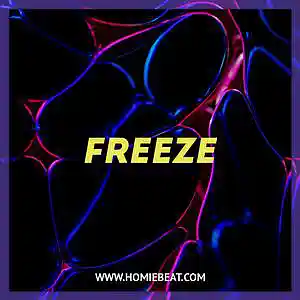 Picture for song 'Freeze' by artist 'Homiebeat'