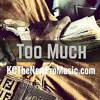 Picture for song 'Too Much l KCTheNewProMusic.com' by artist 'KCTheNewPro'