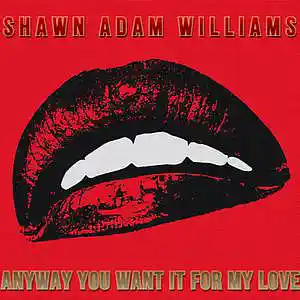 Picture for song 'Anyway You Want It For My Love' by artist 'Shawn Adam Williams'