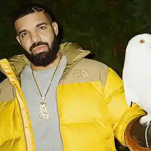 Picture for song 'Exclusive' by artist 'The Soul Society Beatz'