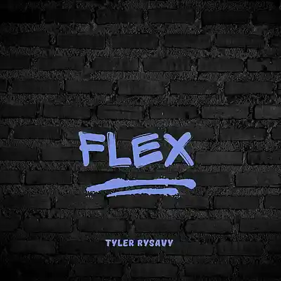 Picture for song 'Flex' by artist 'Tyler Rysavy'