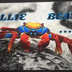 Picture for song 'sea' by artist 'COLLIES'