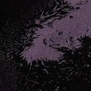 Picture for song 'REJECT' by artist 'Fryman'