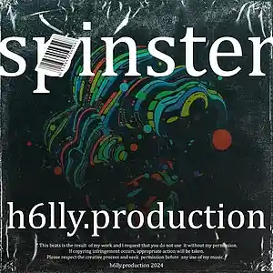 Picture for song 'spinster' by artist 'h6lly.production'