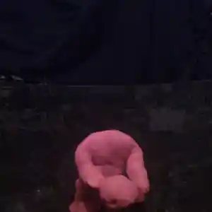 Picture for song 'unprovice zation 8' by artist 'JimRoss'