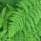 Picture for song 'Echandote' by artist 'La Destileria del Noroeste'