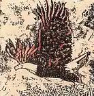 Picture for song 'An Eagle Flies' by artist 'Rainer Neumann'