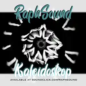 Picture for song 'Kaleidoskop Disarstar x Haudegen Type Beat' by artist 'RaphSound'
