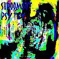 Picture for song 'ShRoOMBoT-synapsensynchronisation_(final edit)' by artist 'SHROOMBOT'