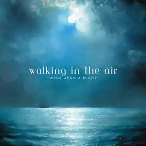 Picture for song 'Walking In the Air' by artist 'Wish Upon a Night'