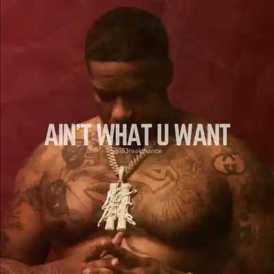 Picture for song 'Ain't What U Want' by artist '183realchance'