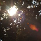 Picture for song 'intro.mp3' by artist 'a good sounding name'