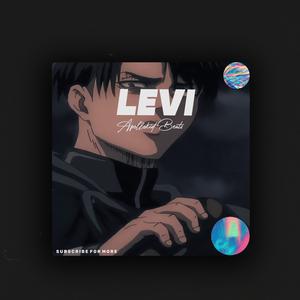 Picture for song 'Levi' by artist 'Apollokid'