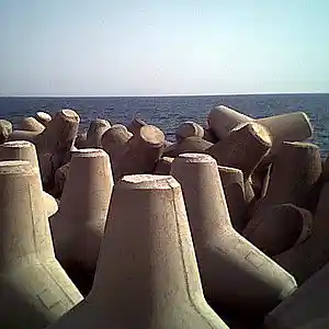 Picture for song 'propellerhead (acoustic version)' by artist 'Brian Moore'