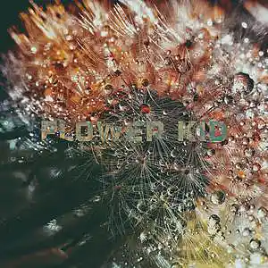 Picture for song 'FlowerKid "Buy1/Get2Free"' by artist 'CGPbeats'