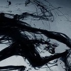 Picture for song '12 creatures' by artist 'Dark Productions Music Group'