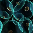 Picture for song 'Cell' by artist 'Deadly Toaster Productions'