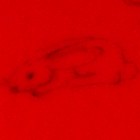 Picture for song 'Erasmuspt2' by artist 'Who're(tm)'