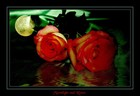 Picture for song 'Moonlight And Roses' by artist 'DERRING-DO'
