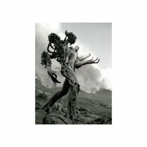 Picture for song 'Chase (Piano Trap Beat) - Devezin.com' by artist 'Devezin'