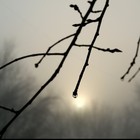 Picture for song 'The Way I Feel' by artist 'DHW'