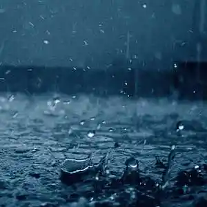 Picture for song 'Chill Rain' by artist 'Dream States'