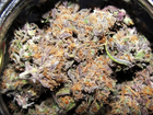 Picture for song 'Turn That LOUD Down!!' by artist 'Dukey Stains'