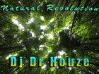 Picture for song 'Natural Revolution (Dj Houze - Natural Terapy)' by artist '!Electric Contact!'